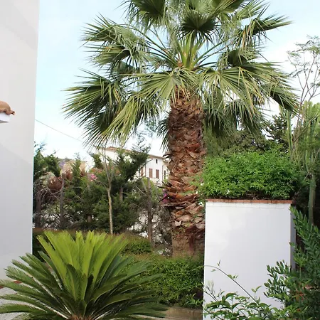 Apartahotel Paola Holidays *